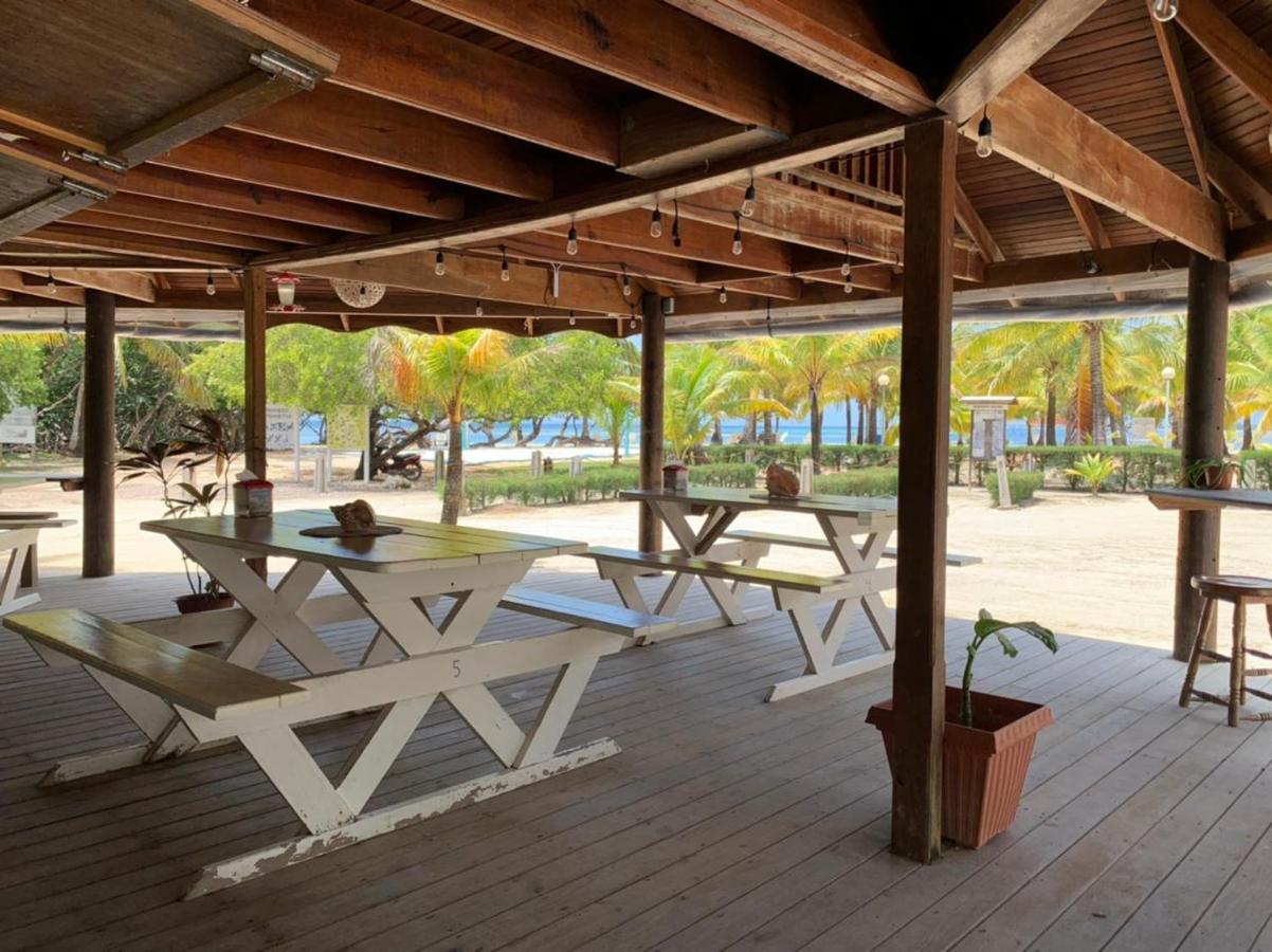 Sea Eye Hotel - Tropical Building أوتاليا المظهر الخارجي الصورة